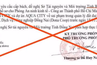 Văn bản của Phòng An ninh Kinh tế, Công an Thành phố Hồ Chí Minh là giả mạo, bịa đặt.