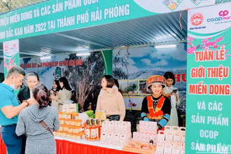 Người dân thành phố Cảng tham quan, mua sắm tại Tuần lễ giới thiệu miến dong và các sản phẩm OCOP, sản phẩm bản địa tỉnh Bắc Kạn.