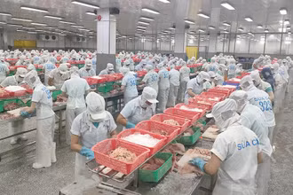 Một trong những quy trình sản xuất khép kín tại Công ty TNHH Hùng Cá, tọa lạc huyện Thanh Bình, tỉnh Đồng Tháp. (Ảnh: HỮU NGHĨA)