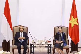 Ảnh minh họa: Chủ tịch nước Nguyễn Xuân Phúc hội kiến Chủ tịch Hội đồng Đại biểu nhân dân Indonesia, bà Puan Maharani. (Ảnh: TTXVN)
