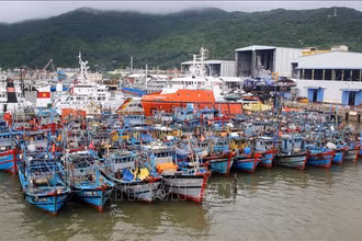 Tàu thuyền neo đậu tránh bão. (Ảnh minh họa: TTXVN)