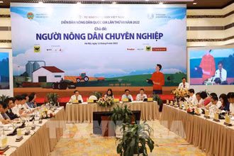 Quang cảnh diễn đàn. (Ảnh: TTXVN)
