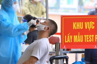 Ảnh minh họa.