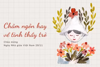 Châm ngôn hay về tình thầy trò