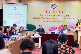 Toàn cảnh Hội nghị lần thứ 3 Ban Chấp hành Hội Bảo vệ quyền trẻ em Việt Nam, khóa IV.