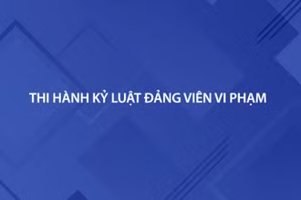 [Video] Đề nghị xem xét, thi hành kỷ luật đảng viên vi phạm 