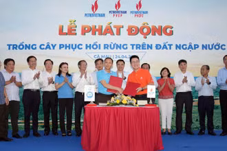 Các đơn vị dầu khí ký thỏa thuận với Viện Khoa học lâm nghiệp nam bộ, Sở NN&PTNT tỉnh Cà Mau trồng mới 40 ha rừng và 250.000 cây xanh trên địa bàn tỉnh. 