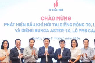 PVN công bố 2 phát hiện dầu khí mới tại mỏ Rồng và mỏ Bunga Aster.