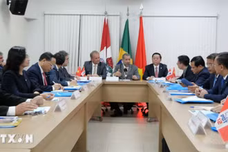Trưởng Ban Tuyên giáo Trung ương Nguyễn Trọng Nghĩa làm việc với ông Carlos Lupin, Chủ tịch Đảng Lao động Dân chủ, Bộ trưởng An sinh xã hội. (Ảnh: Diệu Hương/TTXVN)