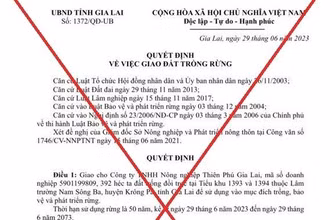 Gia Lai bác bỏ thông tin cấp gần 400 ha rừng cho doanh nghiệp