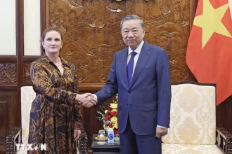 Chủ tịch nước Tô Lâm tiếp Đại sứ New Zealand tại Việt Nam Caroline Beresford. (Ảnh: TTXVN)