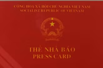 Thẻ nhà báo giả mạo.