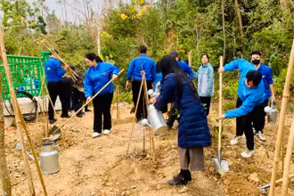Tuổi trẻ Hải Phòng trồng cây trên đồi Thiên Văn (quận Kiến An).