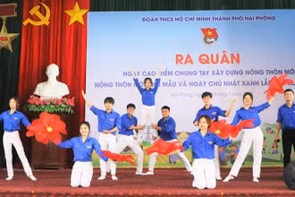 Tuổi trẻ Hải Phòng ra quân Ngày cao điểm chung tay xây dựng nông thôn mới.