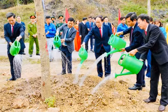 Các đồng chí lãnh đạo thành phố Hải Phòng tham gia trồng cây tại huyện An Lão. (Ảnh: Cổng TTĐT Hải Phòng)
