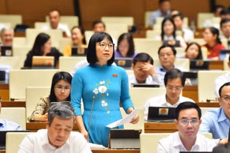 Đại biểu Nguyễn Thị Việt Nga (đoàn Hải Dương) phát biểu trong phiên thảo luận về dự án Luật Công đoàn (sửa đổi) ngày 24/10/2024. (Ảnh: THỦY NGUYÊN)
