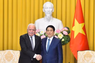 Chủ tịch nước Lương Cường tiếp Đặc phái viên của Tổng thống Palestine.