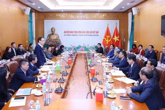 Đồng chí Lê Hoài Trung, Bí thư Trung ương Đảng, Trưởng Ban Đối ngoại Trung ương phát biểu chỉ đạo buổi làm việc. (Ảnh: Phương Hoa/TTXVN)