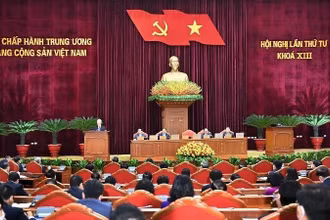Ảnh minh họa.
