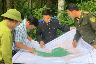Sở Nông nghiệp và Phát triển nông thôn Bắc Kạn kiểm tra, rà soát quy hoạch quản lý, bảo vệ rừng. (Ảnh: TUẤN SƠN)