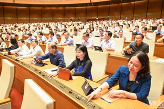 Đại biểu Quốc hội biểu quyết thông qua Luật Đường bộ. (Ảnh: DUY LINH)