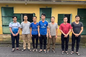 Các đối tượng bị bắt giữ vì hành vi phá rừng quốc gia.