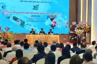 Quang cảnh Đại hội đại biểu Hiệp hội Chăn nuôi gia cầm Việt Nam lần thứ V, nhiệm kỳ 2024-2029.
