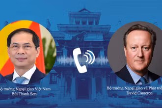Bộ trưởng Ngoại giao Bùi Thanh Sơn điện đàm với Bộ trưởng Ngoại giao và Phát triển Anh David Cameron.