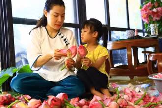 Người dân vùng ven hồ Tây (Hà Nội) truyền cho nhau kinh nghiệm ướp trà sen bách diệp.