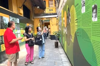 Khách tham quan đến với trưng bày về cây bàng.