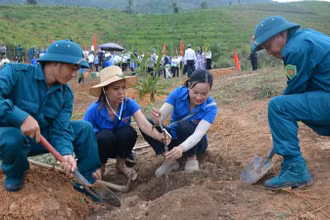 Hưởng ứng Ngày hội trồng cây mắc-ca năm 2024, ngay trong chiều 23/5 có hàng trăm người là nhân dân, cán bộ, giáo viên huyện Tuần Giáo tham gia trồng cây mắc-ca tại xã Quài Cang.