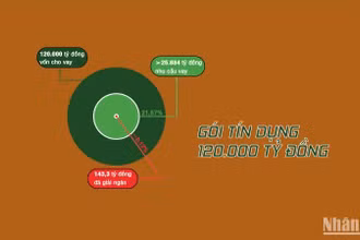 [Infographic] Tiến độ giải ngân gói tín dụng 120.000 tỷ đồng hỗ trợ xây dựng nhà ở xã hội