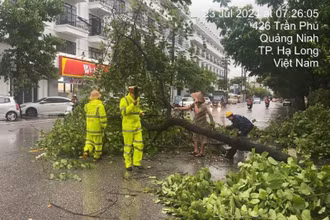 Cảnh sát giao thông giúp người dân thu dọn hậu quả do bão tại thành phố Hạ Long, Quảng Ninh.