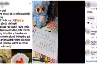 Hình ảnh minh họa tại buổi tổ chức livestream.