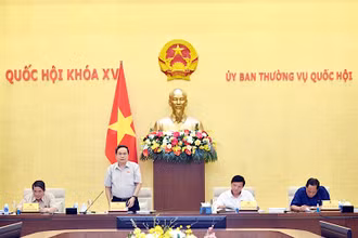 Phó Chủ tịch Thường trực Quốc hội Trần Thanh Mẫn phát biểu.
