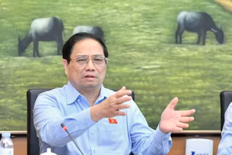 Thủ tướng Phạm Minh Chính phát biểu tại phiên thảo luận. (Ảnh: Đăng Khoa)