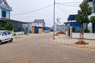 Người dân khu tái định cư phường Tân Hương tự trồng cây xanh.