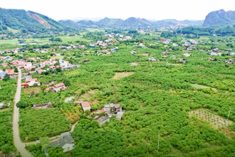 Phù hợp thổ nhưỡng, khí hậu và khách hàng ưa dùng, cây na là cây trồng ăn quả được bà con nông dân các xóm, xã dọc Quốc lộ 1B từ La Hiên đến tận Phú Thượng, huyện Võ Nhai phát triển mạnh.