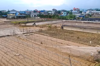 Vùng rau Túc Duyên ở thành phố Thái Nguyên vốn trù phú, sau lũ bị san phẳng.