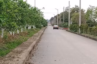 Nghĩa trang sinh thái Ngân Hà Viên được đầu tư xây dựng khang trang, nhiều cây xanh.