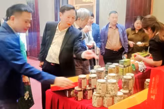 Tỉnh Thái Nguyên xác định, các sản phẩm OCOP, nông nghiệp chủ lực là động lực phát triển kinh tế nông thôn.