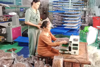 Từ gạo bao thai Định Hóa, Hợp tác xã Tâm Trà Thái sản xuất ra bún khô, phở khô được người tiêu dùng ưa chuộng.