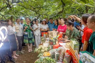 Quảng bá, bán nông sản Thái Nguyên trên sàn thương mại điện tử thời gian qua diễn ra sôi nổi.