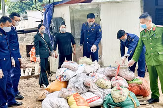 Cuối năm 2023, quản lý thị trường Thái Nguyên phát hiện, tiêu hủy 1 tấn da lợn ôi thiu, bốc mùi tại một cơ sở kinh doanh ở phường Phú Xá, thành phố Thái Nguyên.