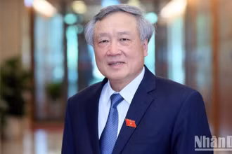 Phó Thủ tướng Thường trực Chính phủ Nguyễn Hòa Bình.