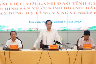 Bộ trưởng Ngoại giao Bùi Thanh Sơn tại buổi làm việc với lãnh đạo tỉnh Gia Lai.