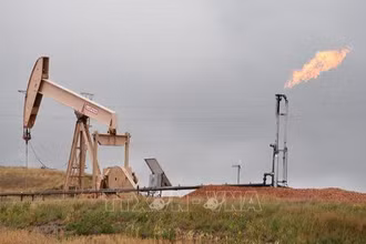 Đường ống dẫn khí đốt ở Williston, North Dakota, Mỹ. (nh: AFP/TTXVN)