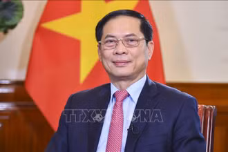 Bộ trưởng Ngoại giao Bùi Thanh Sơn. Ảnh: TTXVN phát