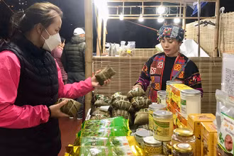 Người tiêu dùng tham quan, mua sắm các sản phẩm nông sản, OCOP chuẩn bị Tết.