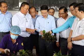 Thường trực Ban Bí thư Võ Văn Thưởng đi khảo sát công đoạn sơ chế rau tại Hợp tác xã Phước Thịnh, xã Phước Hậu (huyện Cần Giuộc, tỉnh Long An).